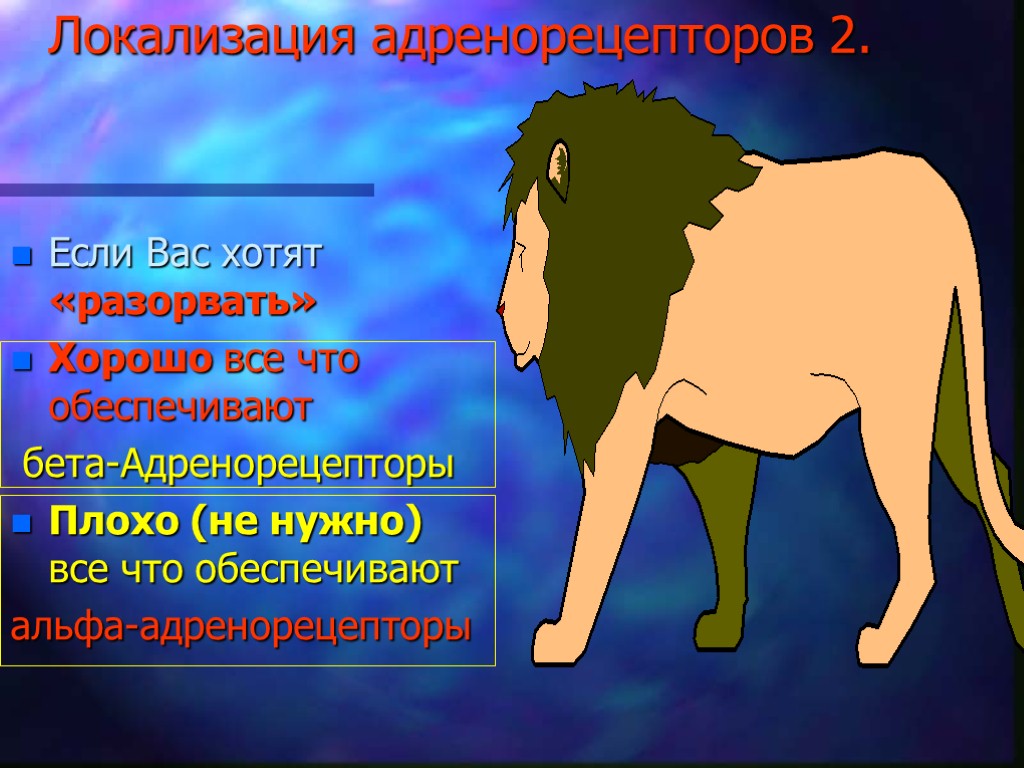 Локализация адренорецепторов 2. Если Вас хотят «разорвать» Хорошо все что обеспечивают бета-Адренорецепторы Плохо (не